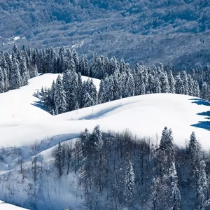 欧美a一片xxxx片
