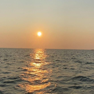 欧美a一片xxxx片
