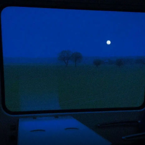 欧美a一片xxxx片
